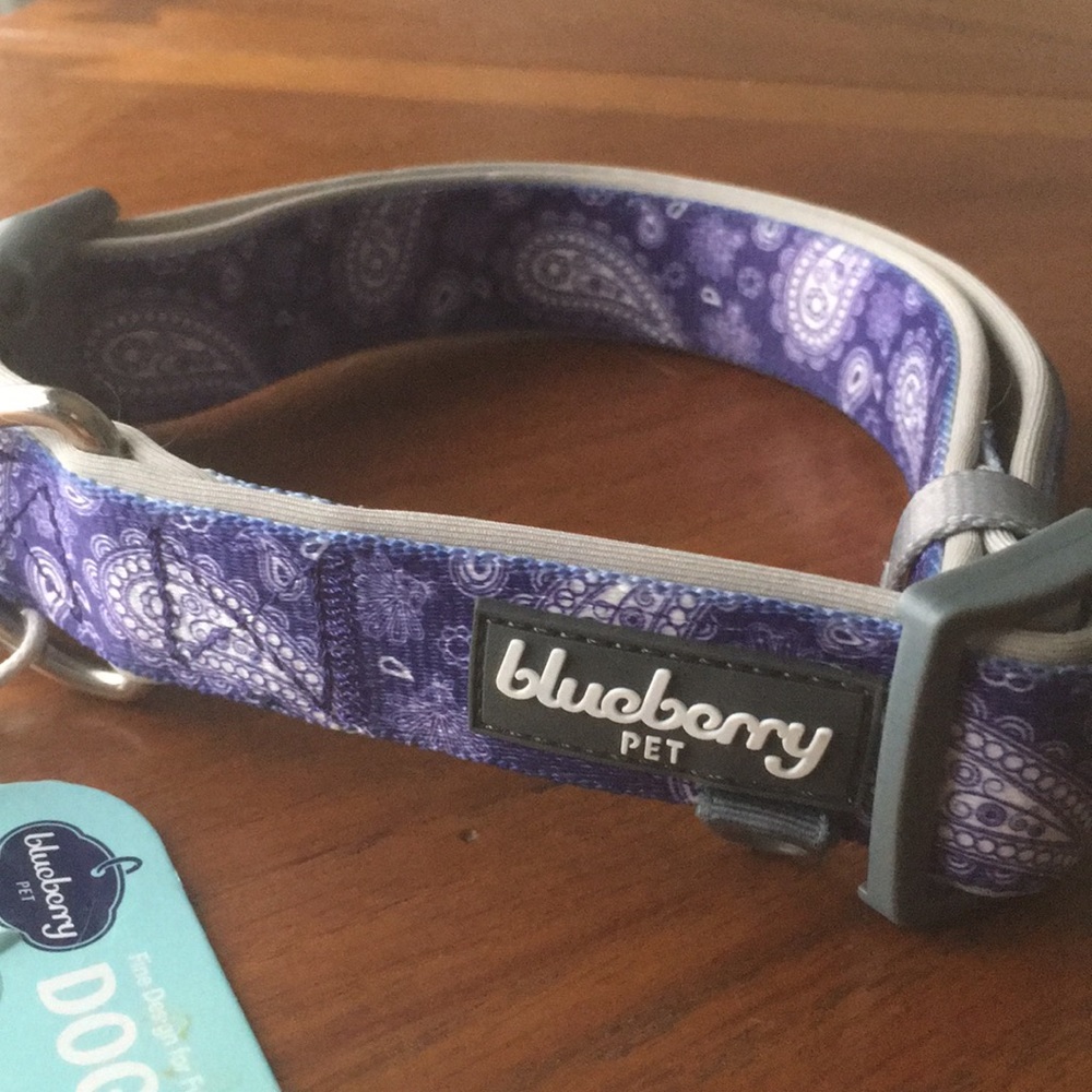 Brand new dog collar